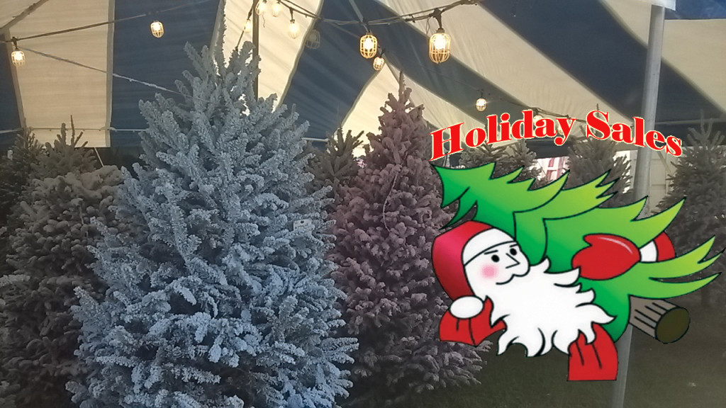 Christmas Trees Miami